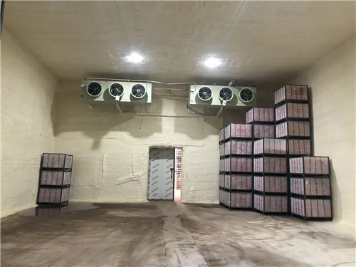 冰雄蘋果冷庫安裝案例