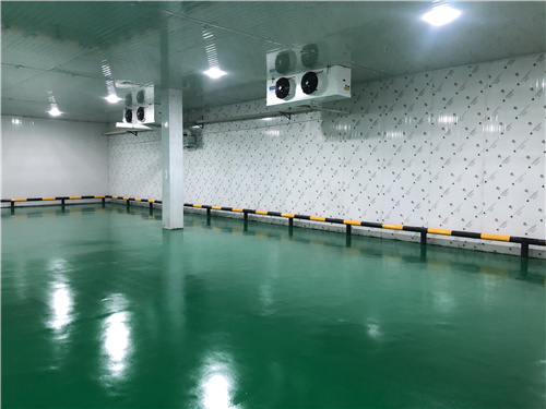 冰雄蔬菜保鮮庫